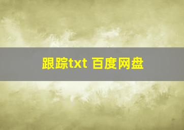 跟踪txt 百度网盘